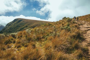 Fortaleza Kanyonu 'na giden yolda insanlar var.