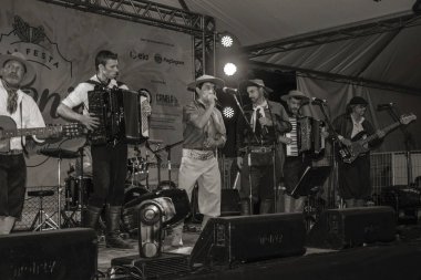Geleneksel bir folklor festivalinde müzisyenler