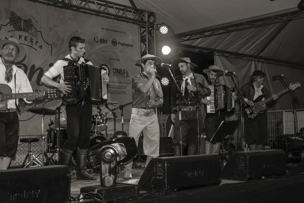 Traditionella musiker på folkmusikfestival — Stockfoto
