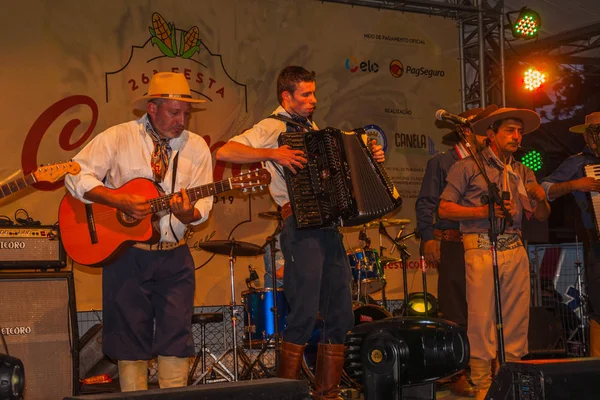 Musicisti tradizionali in un festival folcloristico — Foto Stock