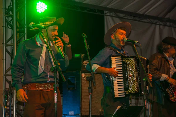Geleneksel bir folklor festivalinde müzisyenler — Stok fotoğraf