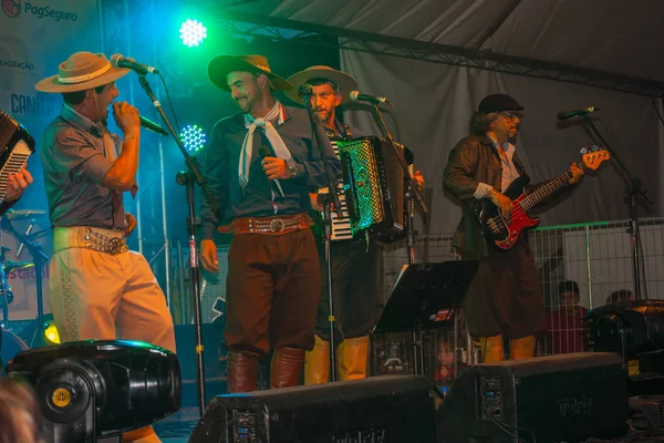 Músicos tradicionais em um festival folclórico — Fotografia de Stock