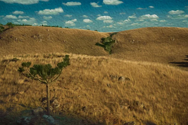 Landschaft der ländlichen Tiefebene, genannt Pampa — Stockfoto