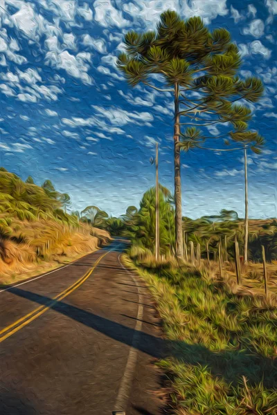 Estrada pavimentada em planícies rurais chamada Pampas — Fotografia de Stock