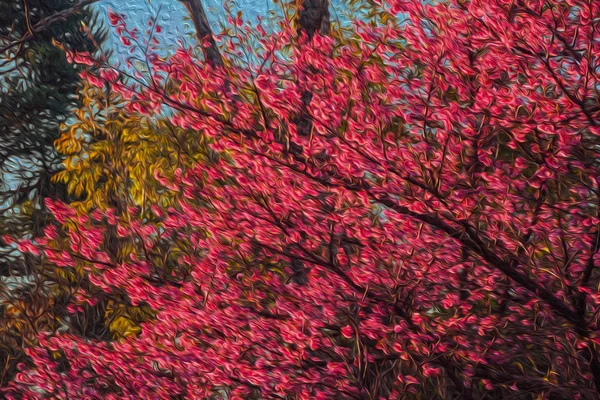 Colorful flowers on tree branches at sunset