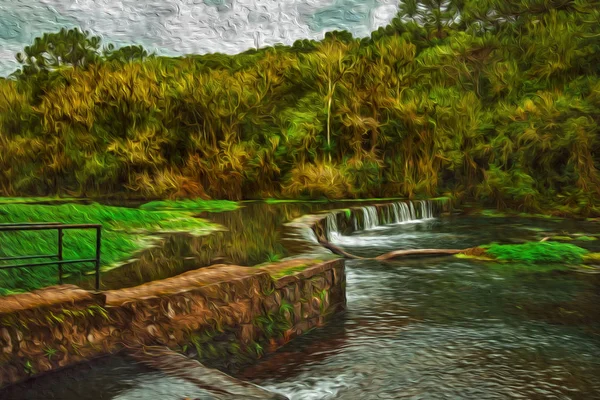 Barragem de pedra em um rio que atravessa a exuberante floresta — Fotografia de Stock