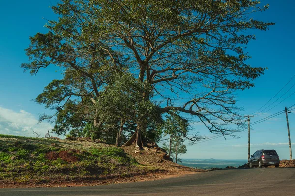 Pardinho Brésil Juin 2019 Voiture Traversant Une Route Campagne Pavée — Photo