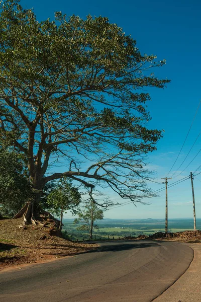 Route Campagne Pavée Côté Arbre Feuillu Sur Une Pente Couverte — Photo