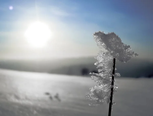 Kış aylarında Rusya