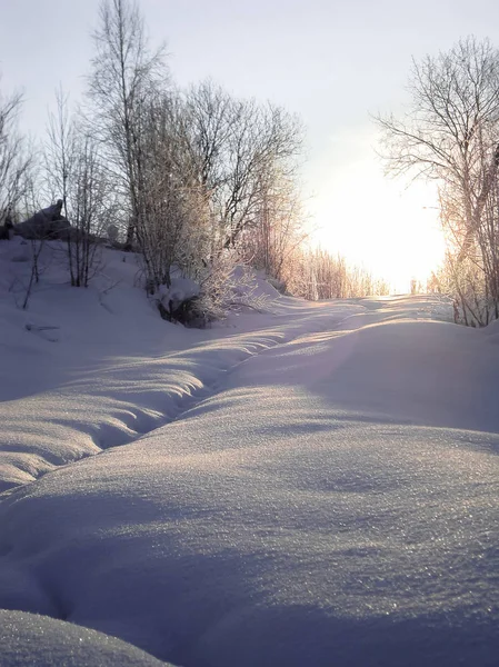 kar kış günbatımı orman yolu