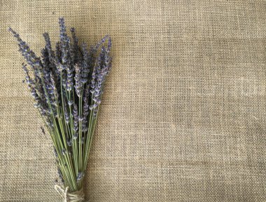 Lavanta bir keten üzerinde