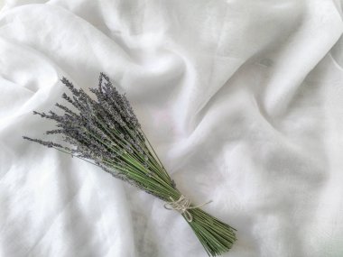 Beyaz arkaplanda lavanta