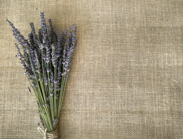 Lavanta bir keten üzerinde