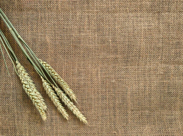 buğday bir keten üzerinde