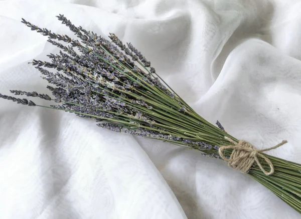 Beyaz arkaplanda lavanta