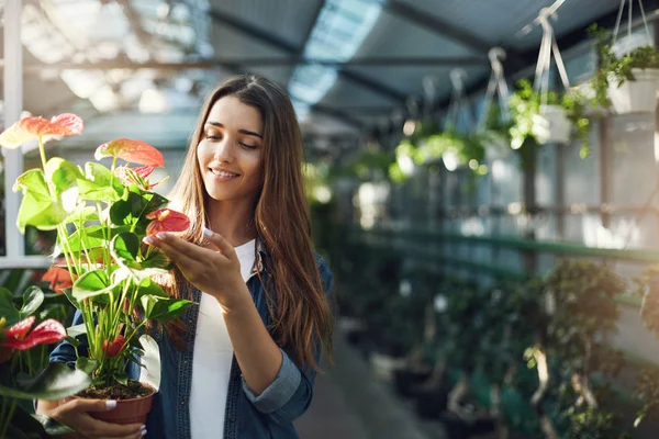 Young wife looking after plants in a greenhouse holding a pot with flowers.