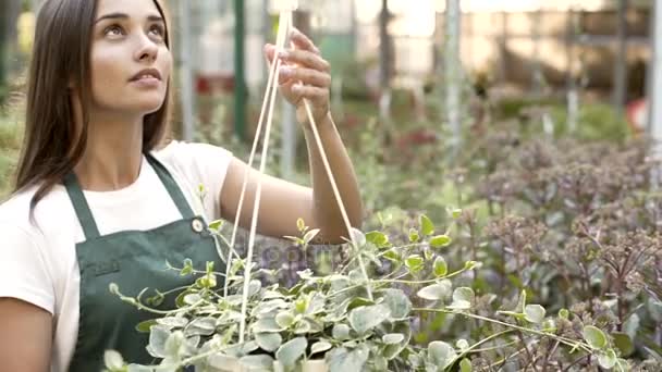 Jong meisje tuinman verzorgen van planten in en buiten tuin winkel — Stockvideo