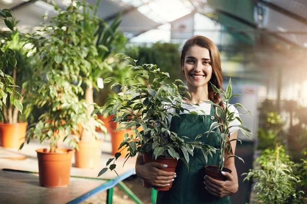 Il giardiniere femminile felice giovane che tiene impianti in pentole in proprietario dirige il deposito di vegetazione — Foto Stock