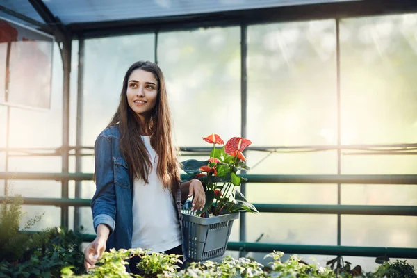 Young lady shopping for plants and flowers in a greenhouse store. Wide shot.