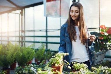 Genç kadın için çiçek ve bitki sera dükkanda alışveriş.