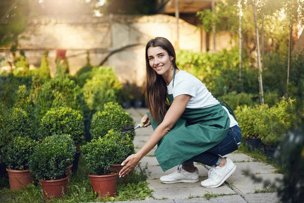 Genç kadın arka bahçesinde veya bir büyük yeşil mağaza içinde küçük ağaçlar hakkında bakım. Kamera gülümseyen seyir.