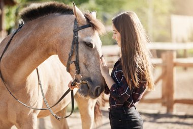 Young female horse farm manager caring and petting young stallion. Dream career taking care about animals. clipart