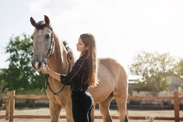 Молода жінка піклується про коня. Менеджери Broodmare є рівними професіоналами, які мають досвід управління потребами колісниць і лордів — стокове фото