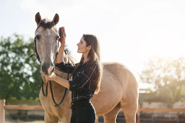 Jovem noivo do cavalo feminino escovando um novo garanhão e cuidando. Gerir um rancho é uma grande responsabilidade. . — Fotografia de Stock