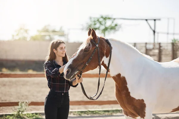 Красива молода жінка власник коня піклується про свого коня на фермі в яскравий сонячний день . — стокове фото