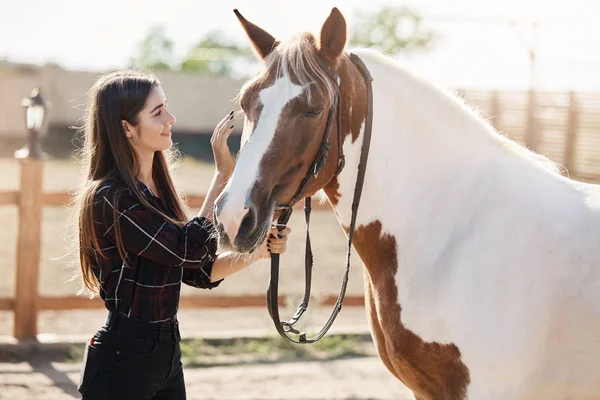 Молода жінка-менеджер столяр піклується про коня на фермі в сонячний літній день . — стокове фото