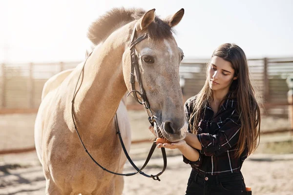 Молода красива фермерка годує коня, готуючись обрізати фігурні копита . — стокове фото