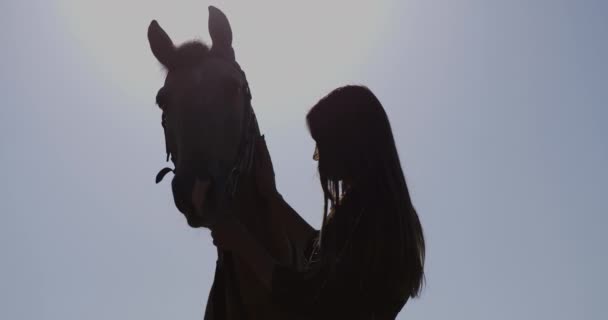 Siluett av ung kvinna ta hand och klappa en häst. Unga stabil manager porträtt. Slow motion. — Stockvideo