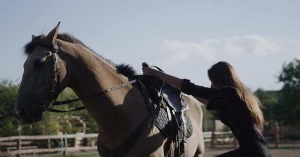 Mujer joven montando un caballo. Gerente de granja de animales en un semental. Movimiento lento . — Vídeos de Stock