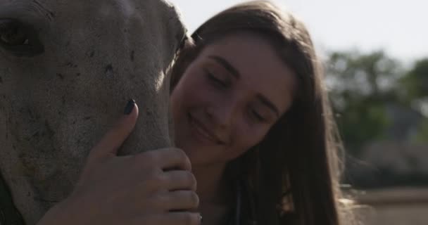 Porträtt av posh och vackra långhåriga ung kvinna ta hand om en häst på en ranch. Solig sommardag utanför. — Stockvideo