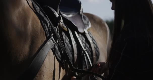 Unga kvinnliga equine ägare knyta ner i sadeln som förbereder sig för att ta en tur ner till floden från animal farm en solig höstdag. Slow motion — Stockvideo