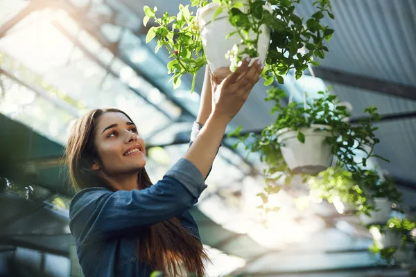 Young beautiful female customer shopping for plants in an indoor garden store.