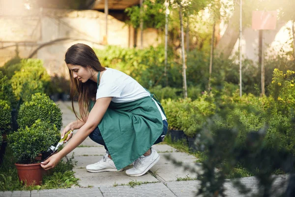 Giardiniere femminile giovane e chic che si prende cura delle piante in cortile. Guadagnare soldi per inseguire il suo sogno di viaggio. Concetto di giovane dipendente . — Foto Stock