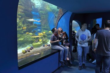 İnsanlar Dolphinarium hayvanların ziyaret turu 