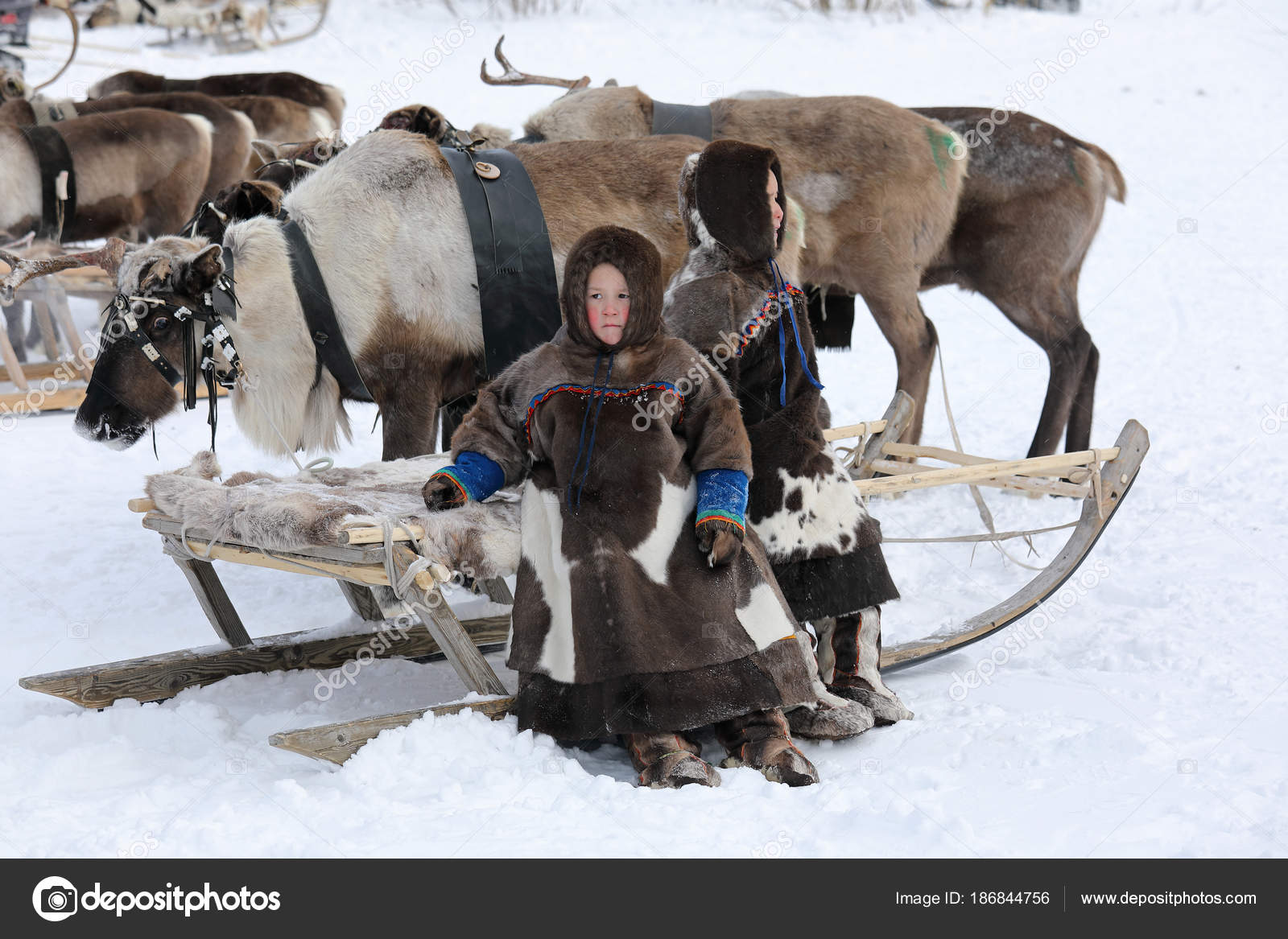 Children of the indigenous people of the Yamal Peninsula Stock