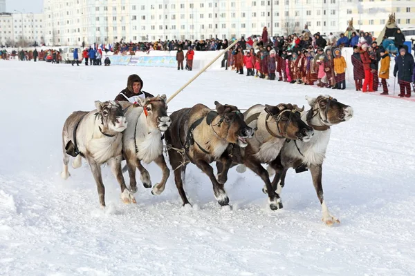 Rdzennej ludności Północnej Syberii Nieniecki zimowy dzień w tradycyjnych — Zdjęcie stockowe