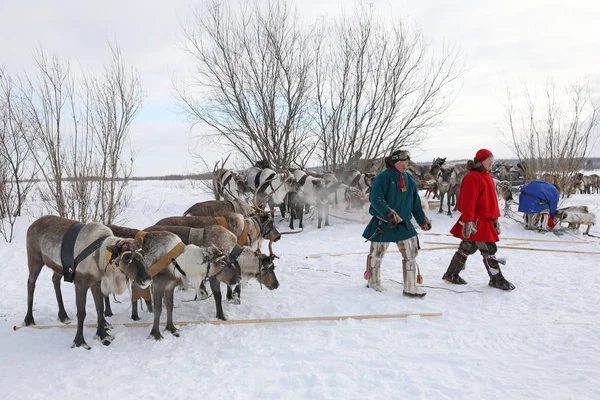 Ursprungsbefolkningen i norra Sibirien Nenets vinterdag — Stockfoto