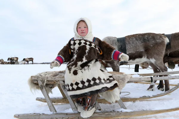 Nenets chica en el norte del Ártico de Rusia — Foto de Stock