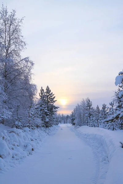 Зимний пейзаж с дорогой на севере России — стоковое фото