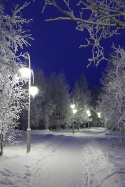 Bir kış akşamında, şehrin buzlu ormanlarında fenerler ve ağaçlar