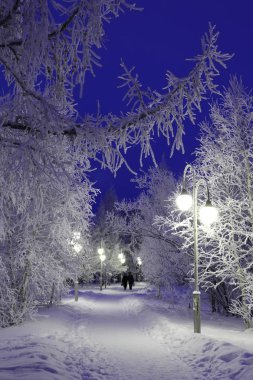 Bir çift ve buz tutmuş ağaçlar Şehir parkında akşam vakti 