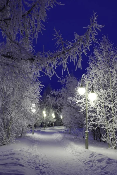 Lanterns and trees in the frost in the evening in the city Park Stock Photo