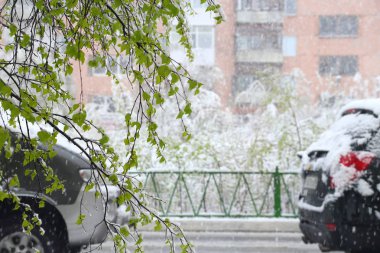 Yazın Yamal 'daki Rusya' nın Nadym şehrinde kar yağışı