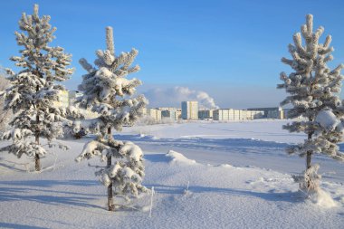 Kuzey Sibirya 'nın Yamalo-Nenets Özerk Bölgesi' ndeki karla kaplı Nadym kenti.