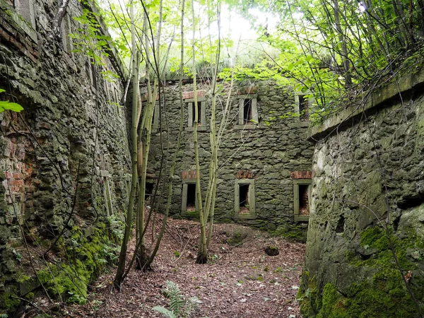 Старая крепость заросшая растительностью — стоковое фото