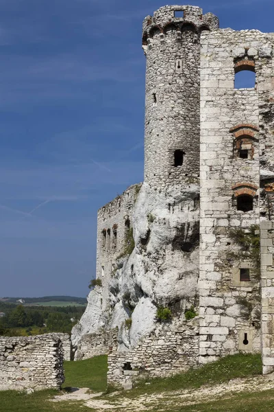 Ruins Castle Ogrodzieniec Poland — Stock Photo, Image